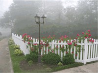 Fence Vinyl Picket