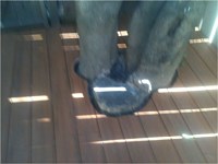 Timbertech deck Earthwood Evolutions